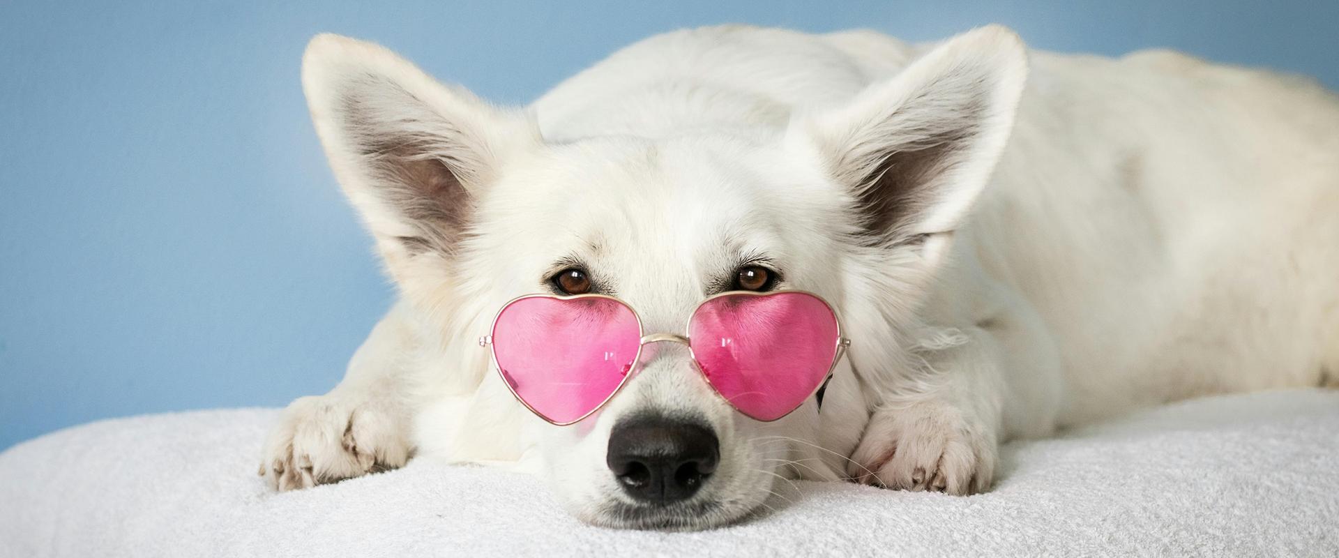 Art Hôtel Commercianti Bologne Art Hôtel Commercianti Bologne